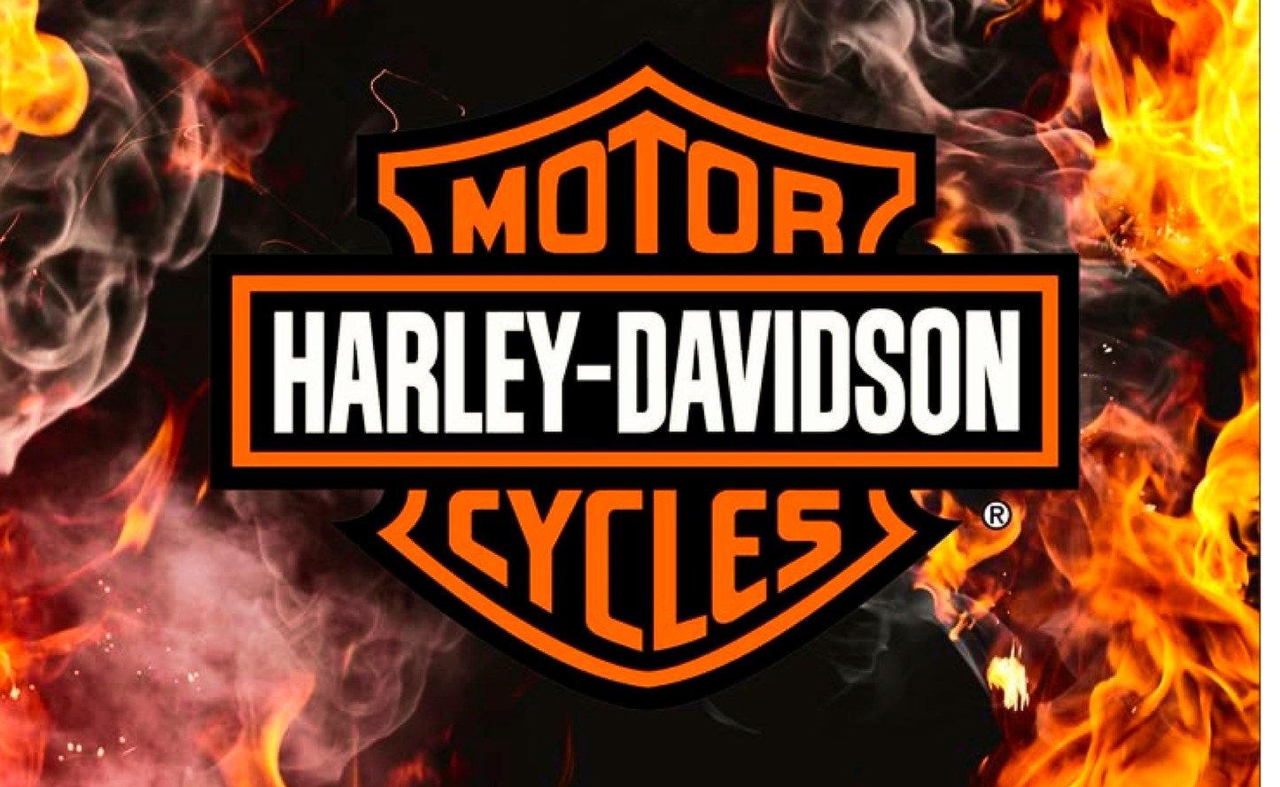 16oz 4 in 1 Tumblers