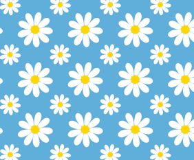 Daisy's - Reusable Notebook, Flowers, Colours