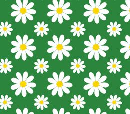 Daisy's - Reusable Notebook, Flowers, Colours