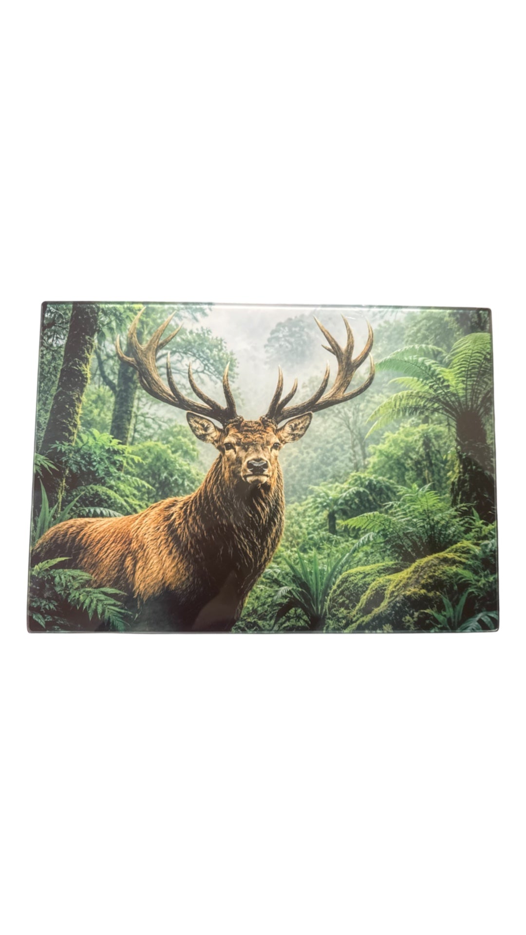 Glass Chopping Boards