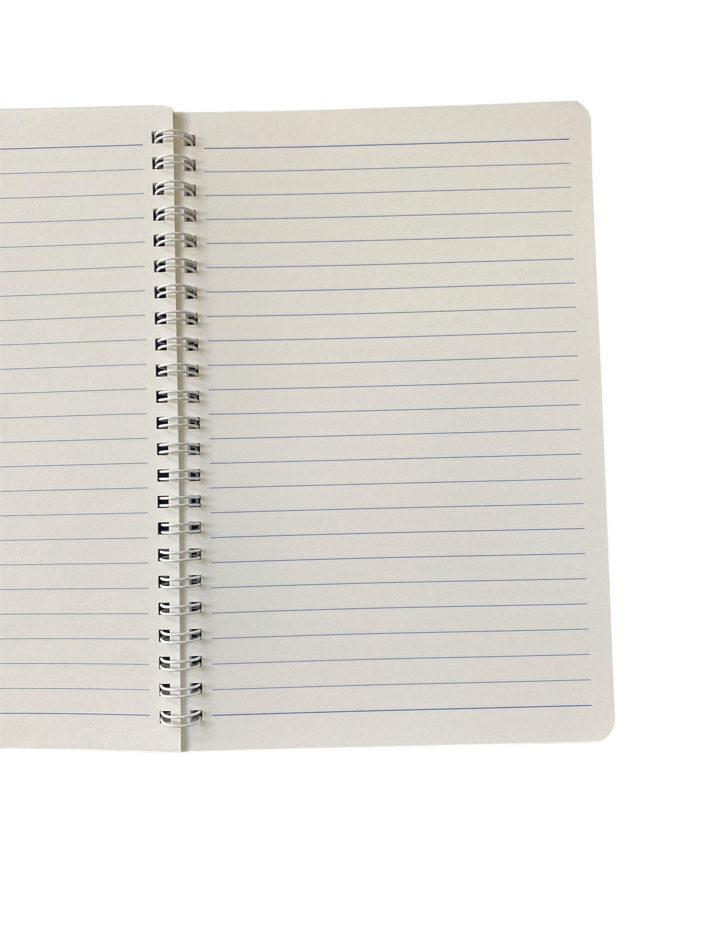 Turtle Cover Lined A5 Notebook