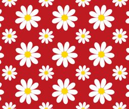 Daisy's - Reusable Notebook, Flowers, Colours